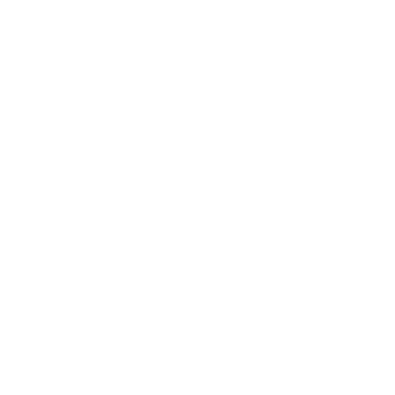 Carzilla Car Care